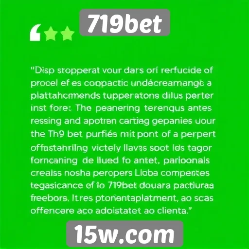 Feedback dos usuários sobre o suporte do 719bet